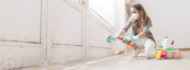 Mold Removal for HVAC Installations in North Springfield, VA